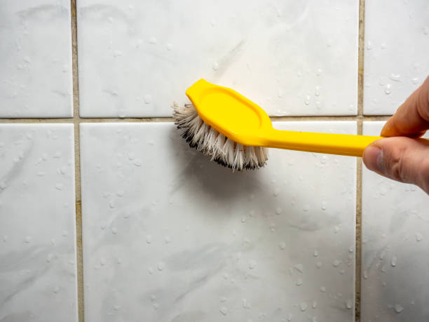 Best Mold Remediation for Specific Building Types in Mcconnell Af, KS