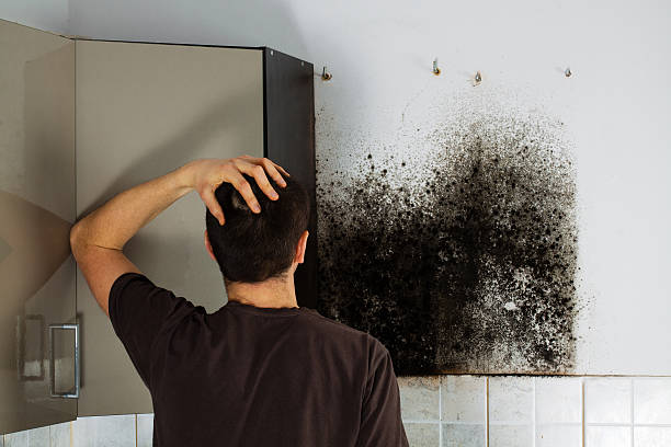 Best Post-Flood Mold Remediation in Mcconnell Af, KS